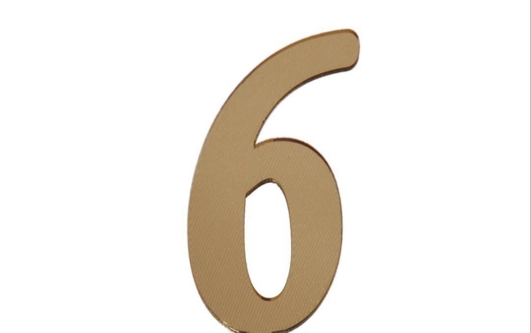PLEKSİ 25 Lİ RAKAM ALTIN NO:6