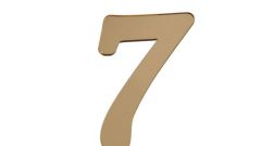 PLEKSİ 25 Lİ RAKAM ALTIN NO:7